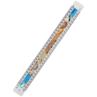 Branded Scale Ruler Promotional Building Gift